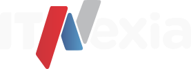 IT Nexia Logo